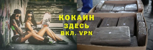 стаф Арсеньев