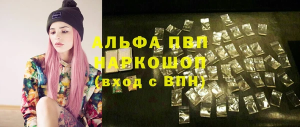 стаф Арсеньев